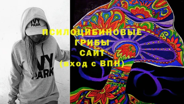 МДПВ Беслан
