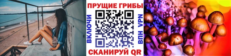 ОМГ ОМГ рабочий сайт  Елабуга  Галлюциногенные грибы Psilocybine cubensis  где можно купить наркотик 